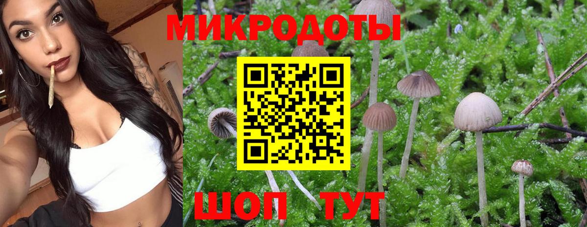 Галлюциногенные грибы мицелий Горячий Ключ