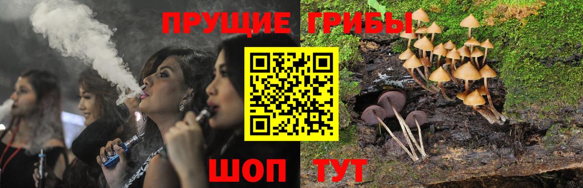 Галлюциногенные грибы Psilocybine cubensis  Вход с VPN  Горячий Ключ 